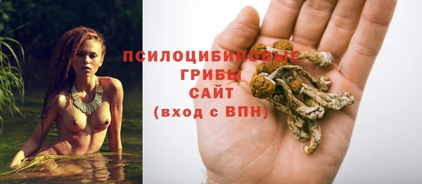 MDMA Premium VHQ Бронницы