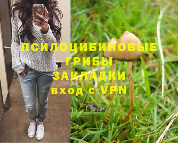 MDMA Premium VHQ Бронницы
