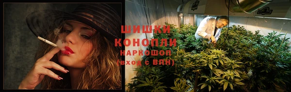 мяу мяу мука Бородино