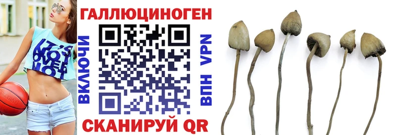 Галлюциногенные грибы Psilocybe  купить закладку  Ижевск 